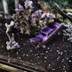 Meet your Posher, Joe